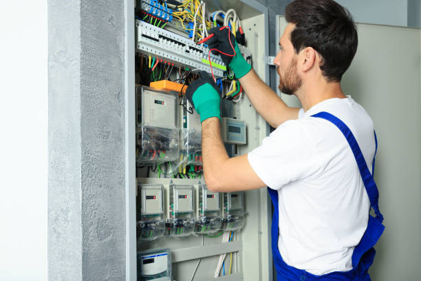Best 24-Hour Electrician  in Nowthen, MN